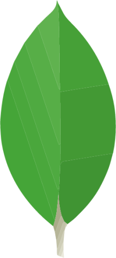 MongoDB icon